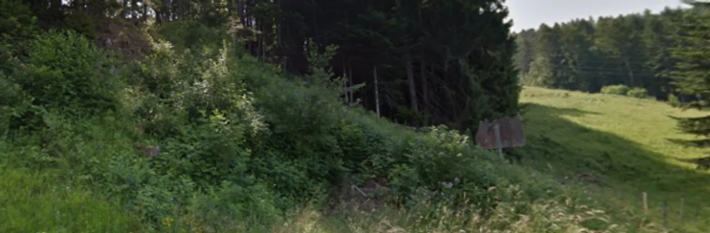 Terrain constructible pour chalet - Photo 1 sur 1