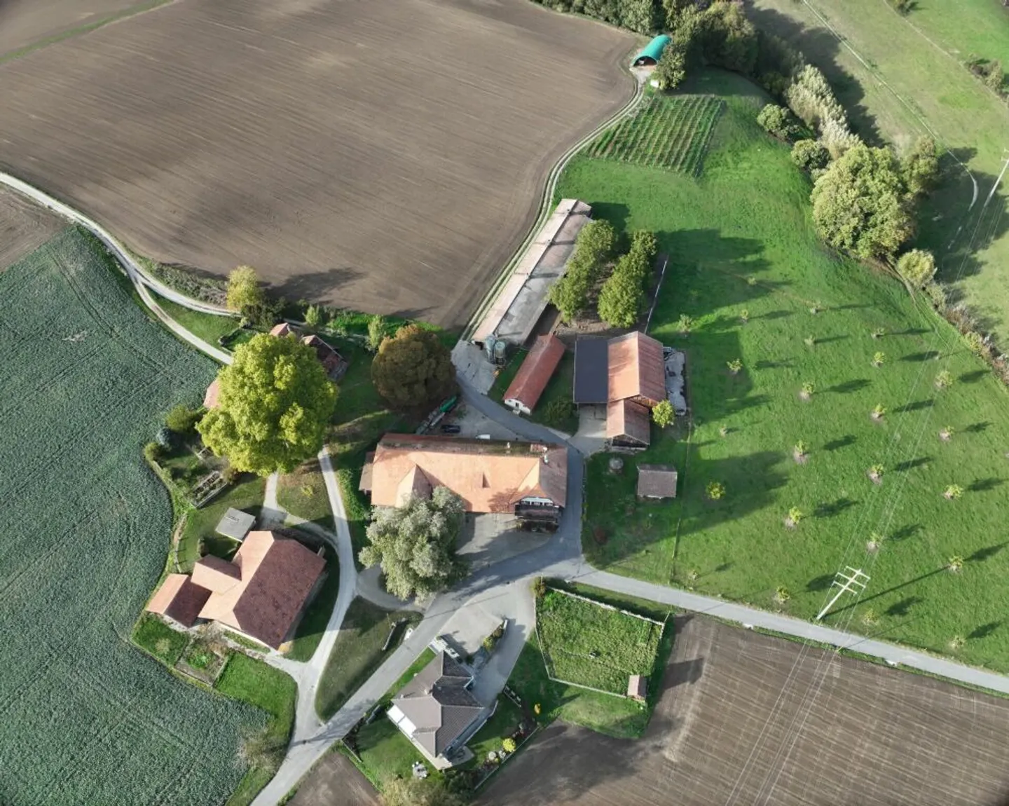 Appartement de 6,5 pièces dans une ferme - Photo 4 sur 13