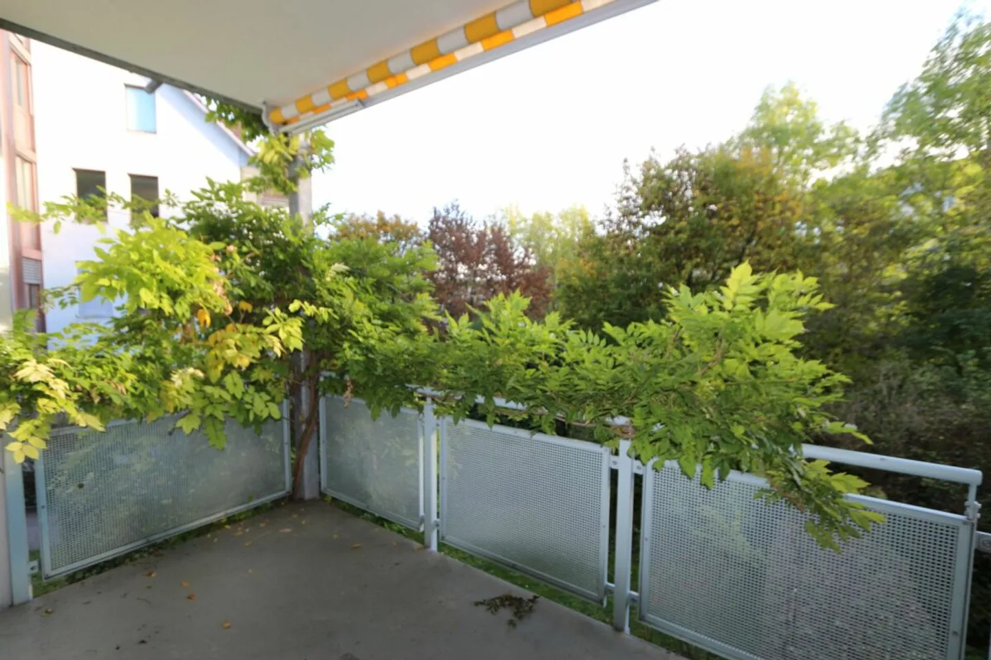 Grosszügige, moderne Wohnung in parkähnlicher Umgebung - Photo 3 of 11