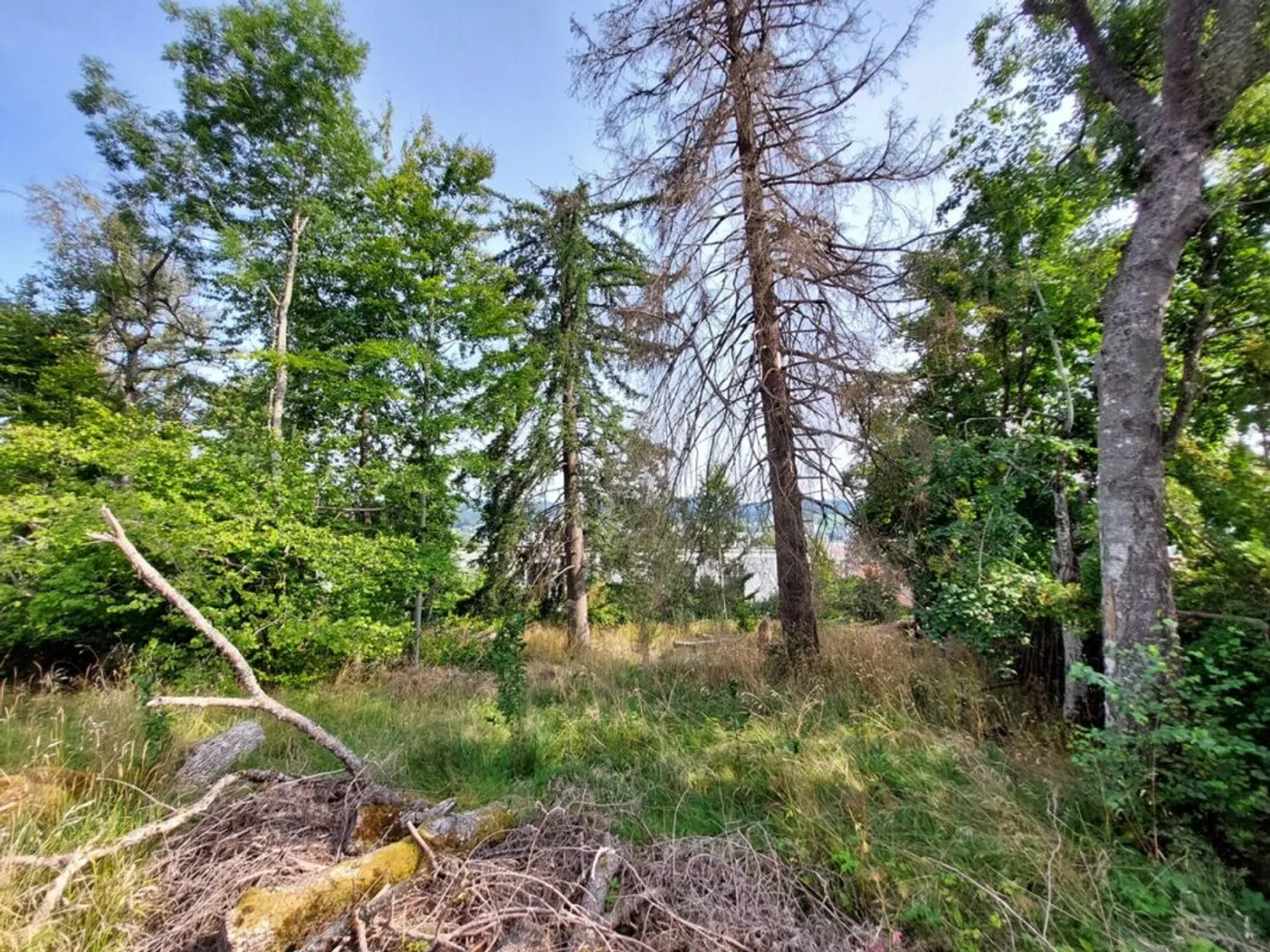 Building plot ideally located in a residential area - Photo 4 of 4