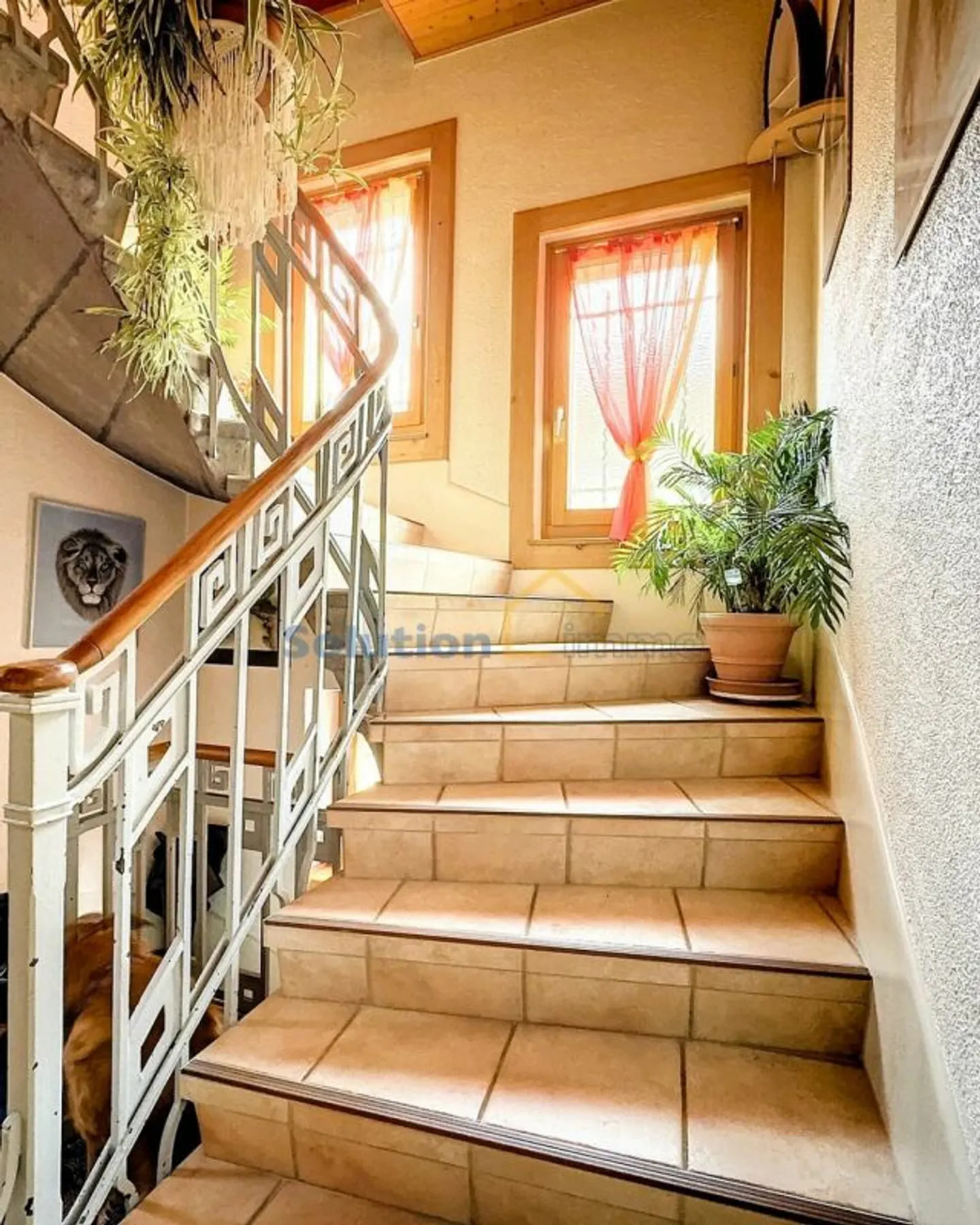 Large house with 2 apartments - Photo 13 of 13