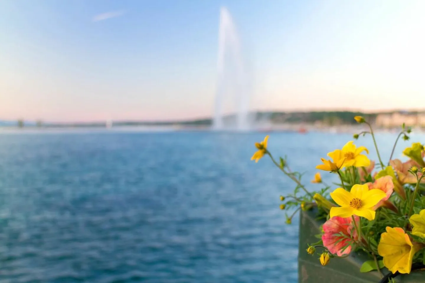 Elegant Furnished Apartment Left Bank - Photo 1 of 5