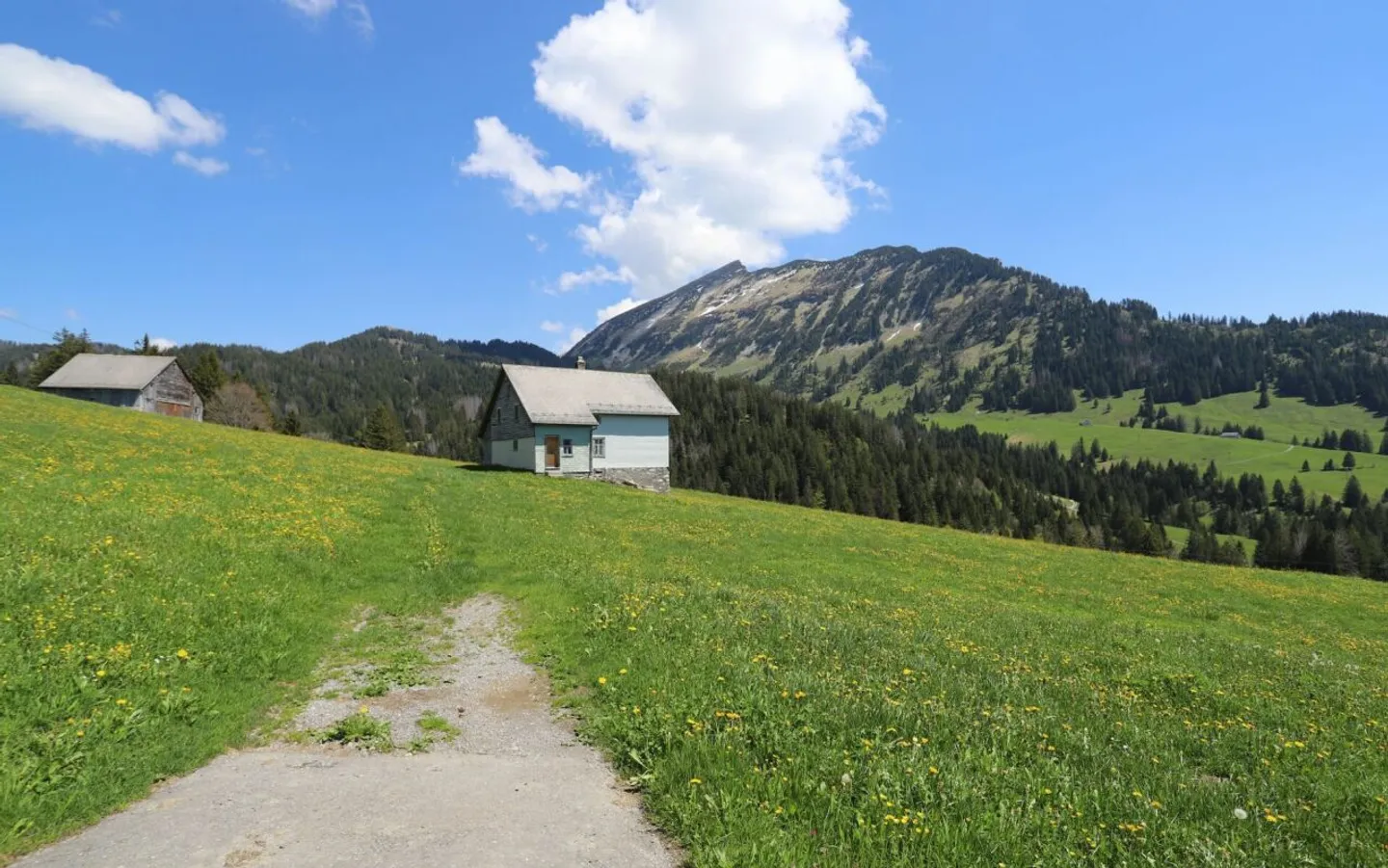 Occasione unica - direttamente sulla pista da sci - Foto 2 di 6