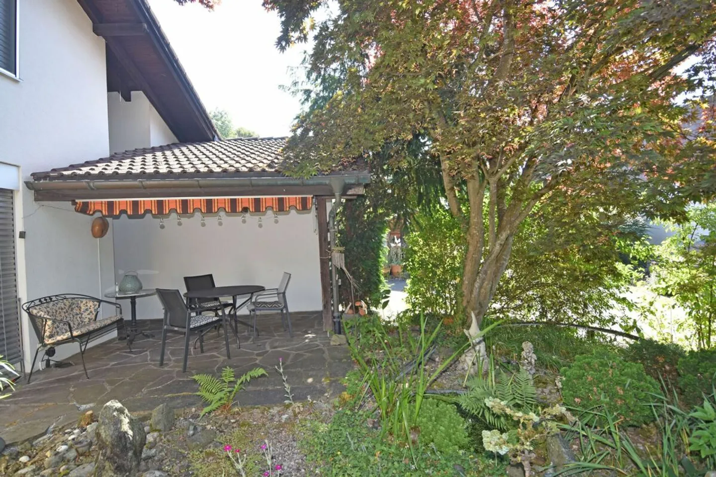 Felicità familiare su un grande terreno, soleggiato, vicino alla natura - Foto 9 di 13