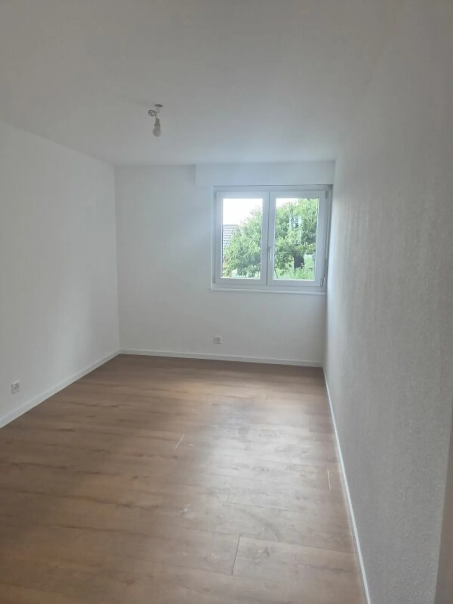 Renovated 4.5 Room Apartment - Photo 4 of 7