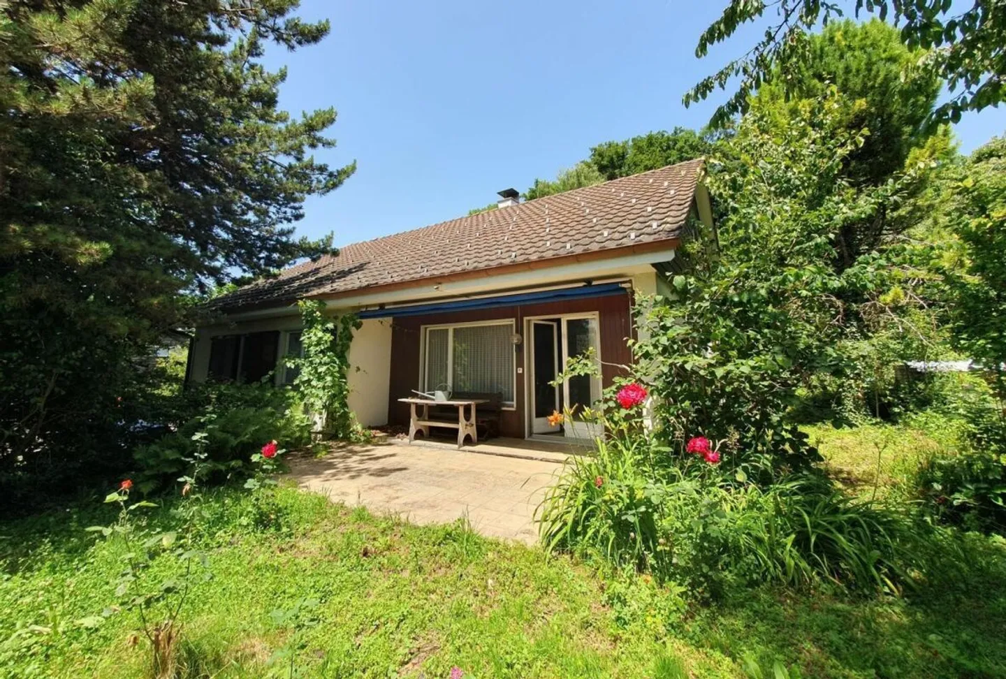 Avec beaucoup de potentiel ! - Photo 1 sur 13