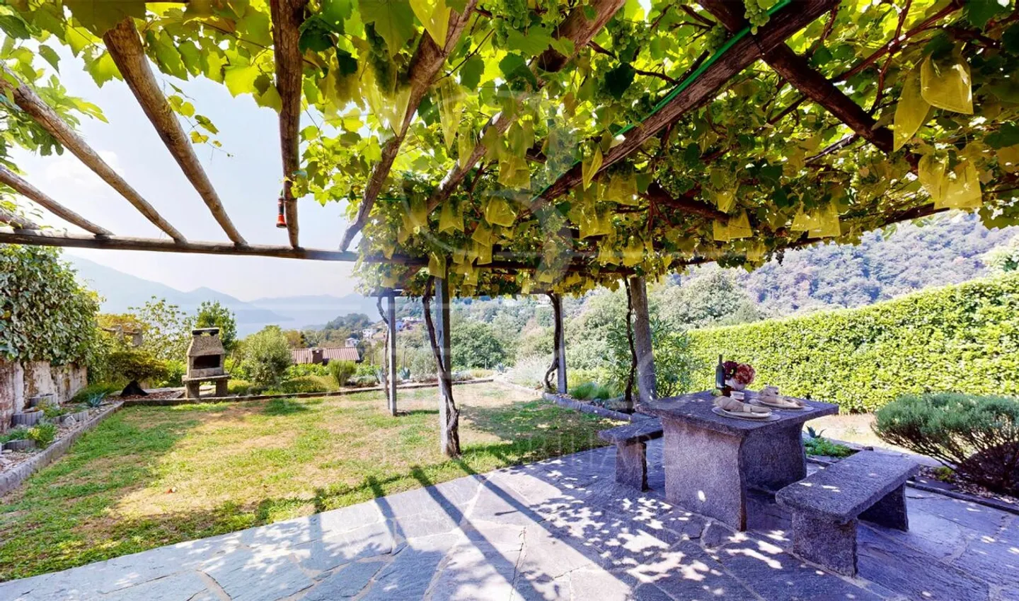 Vines. Garden. Lake. - Photo 4 of 9