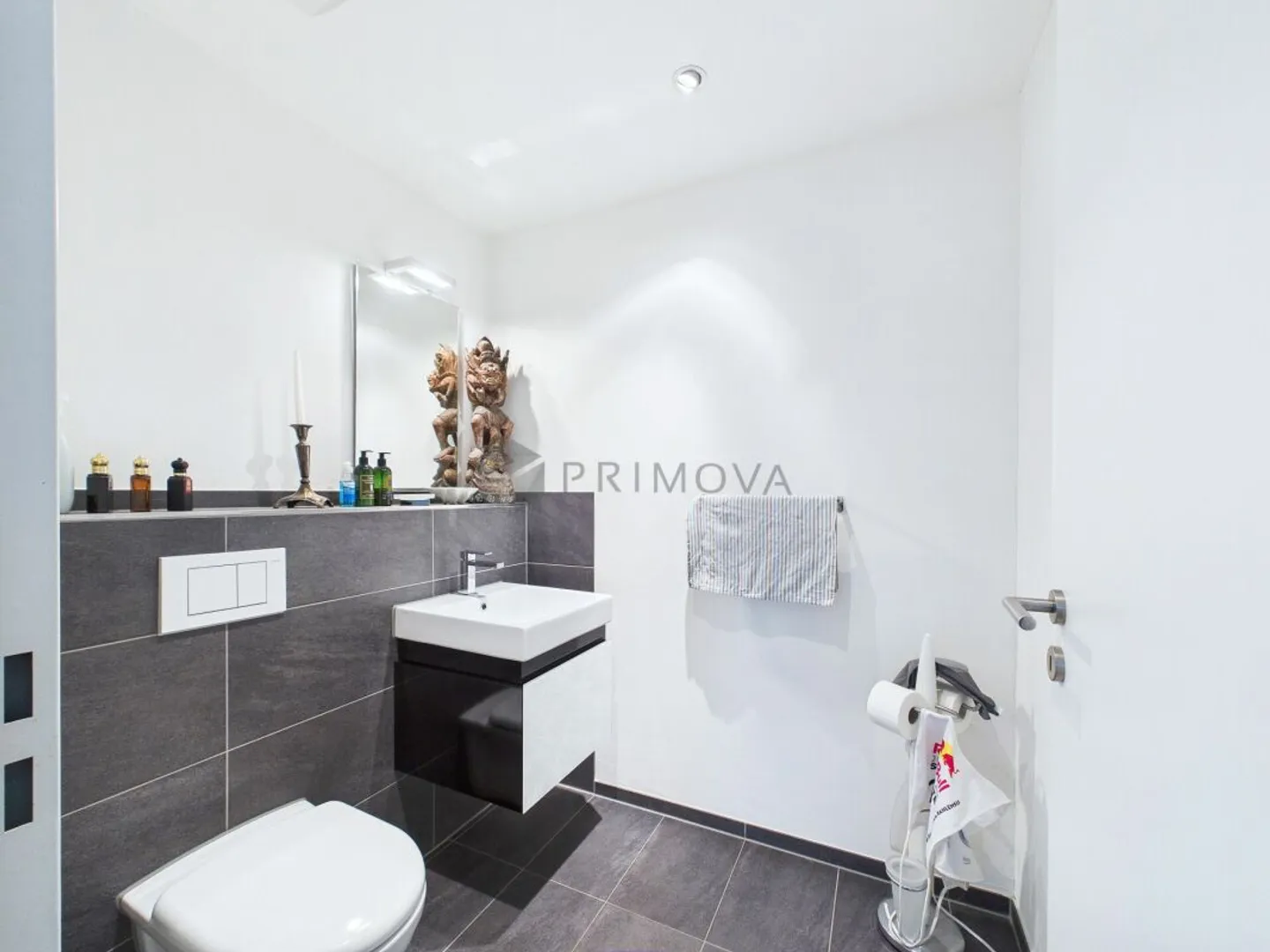Exclusive and luxurious terrace apartment in Duggingen - Photo 9 of 11