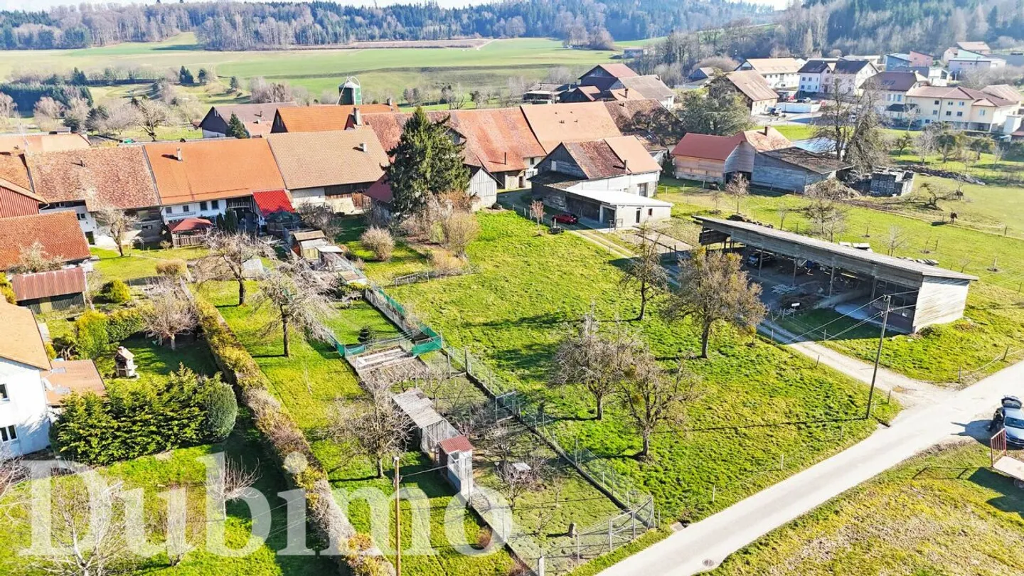 6,5-Zimmer-Dorfhaus mit grossem Potenzial - Foto 10 von 13