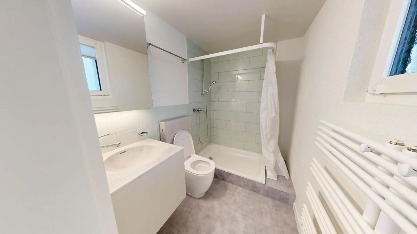 Appartamento ristrutturato di 3,5 locali disponibile dal 01.06.26! - Foto 7 di 7