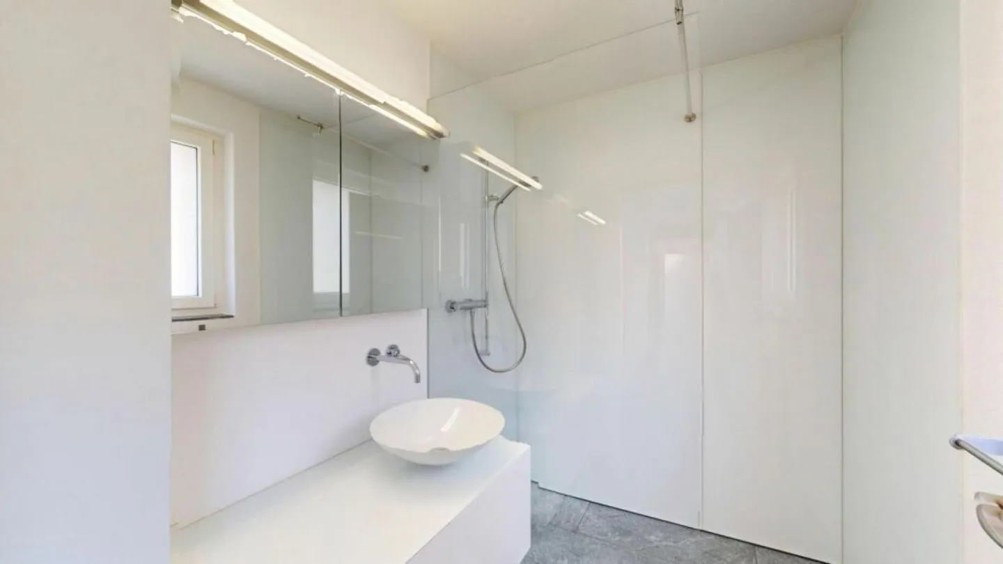 Nature, Paix et Soleil - Vivre sur l'Üetliberg avec une Terrasse Impressionnante - Photo 7 sur 11