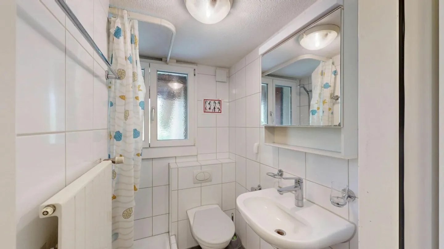 Furnished Single Room in Unterlunkhofen - Photo 4 of 9