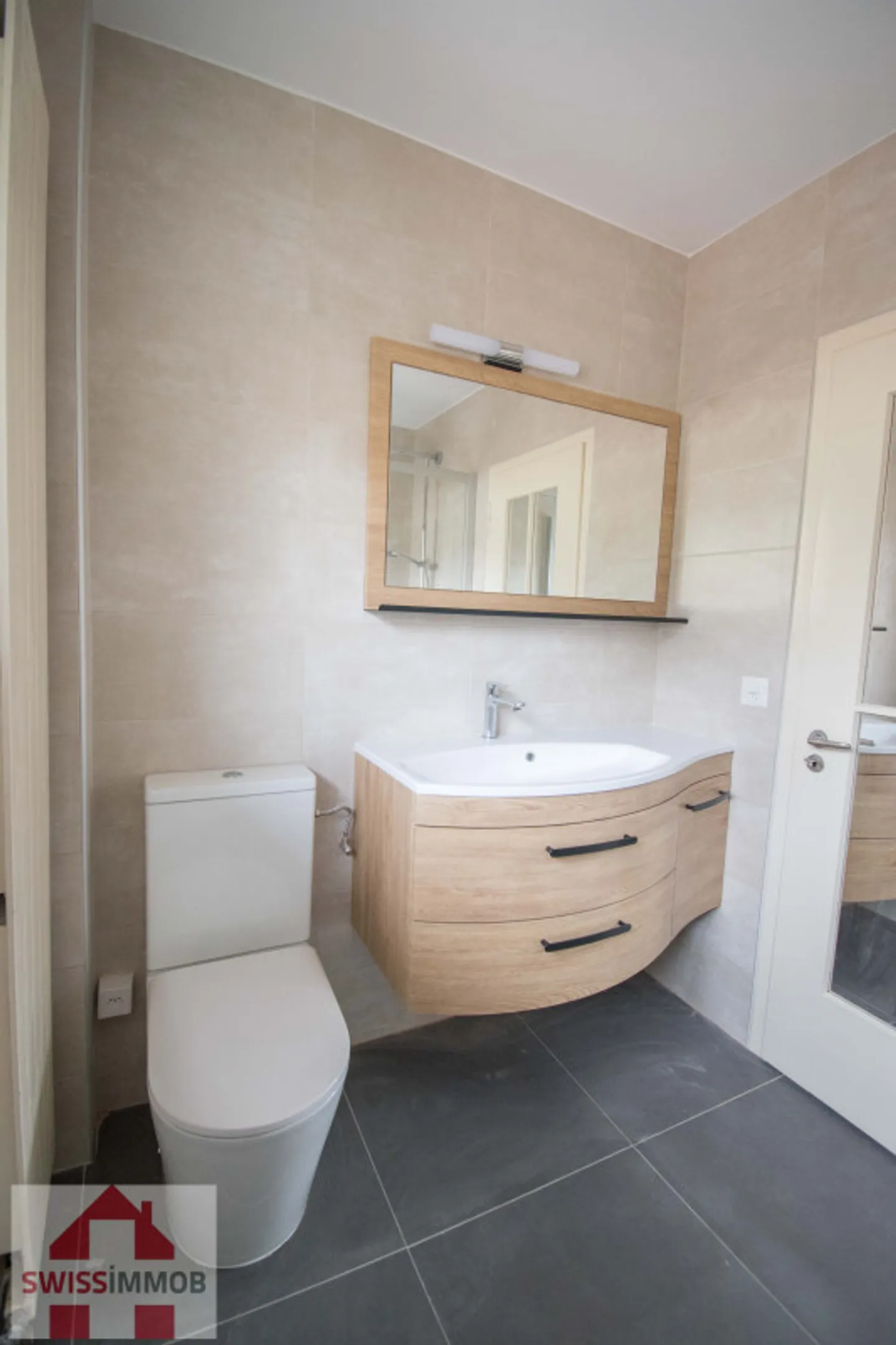 BELLA VILLA INDIVIDUALE A BLONAY - Foto 6 di 10
