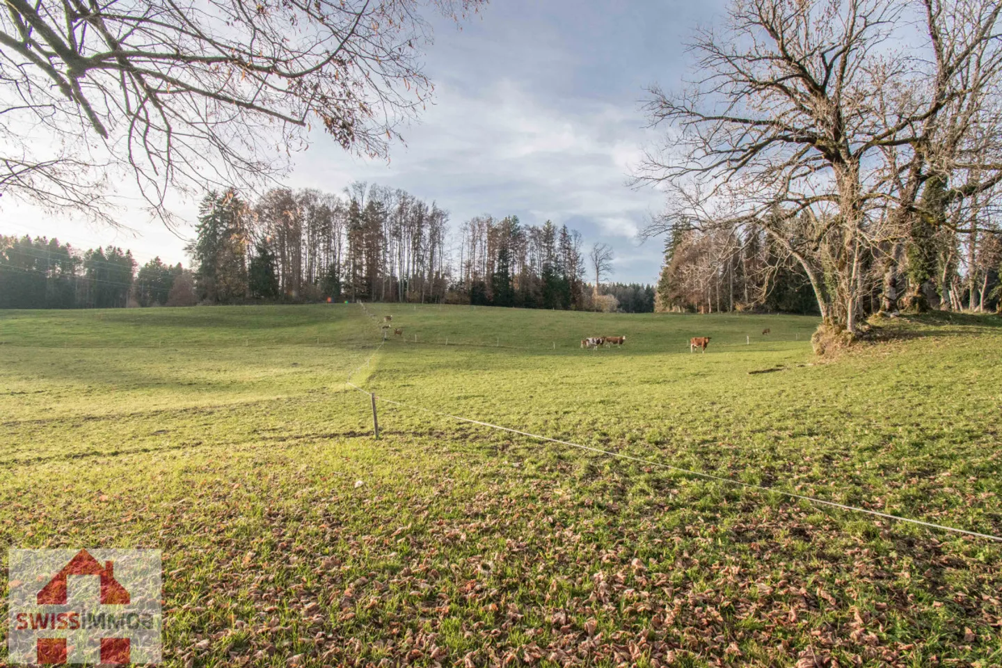 The countryside just minutes from the city ... - Photo 1 of 4