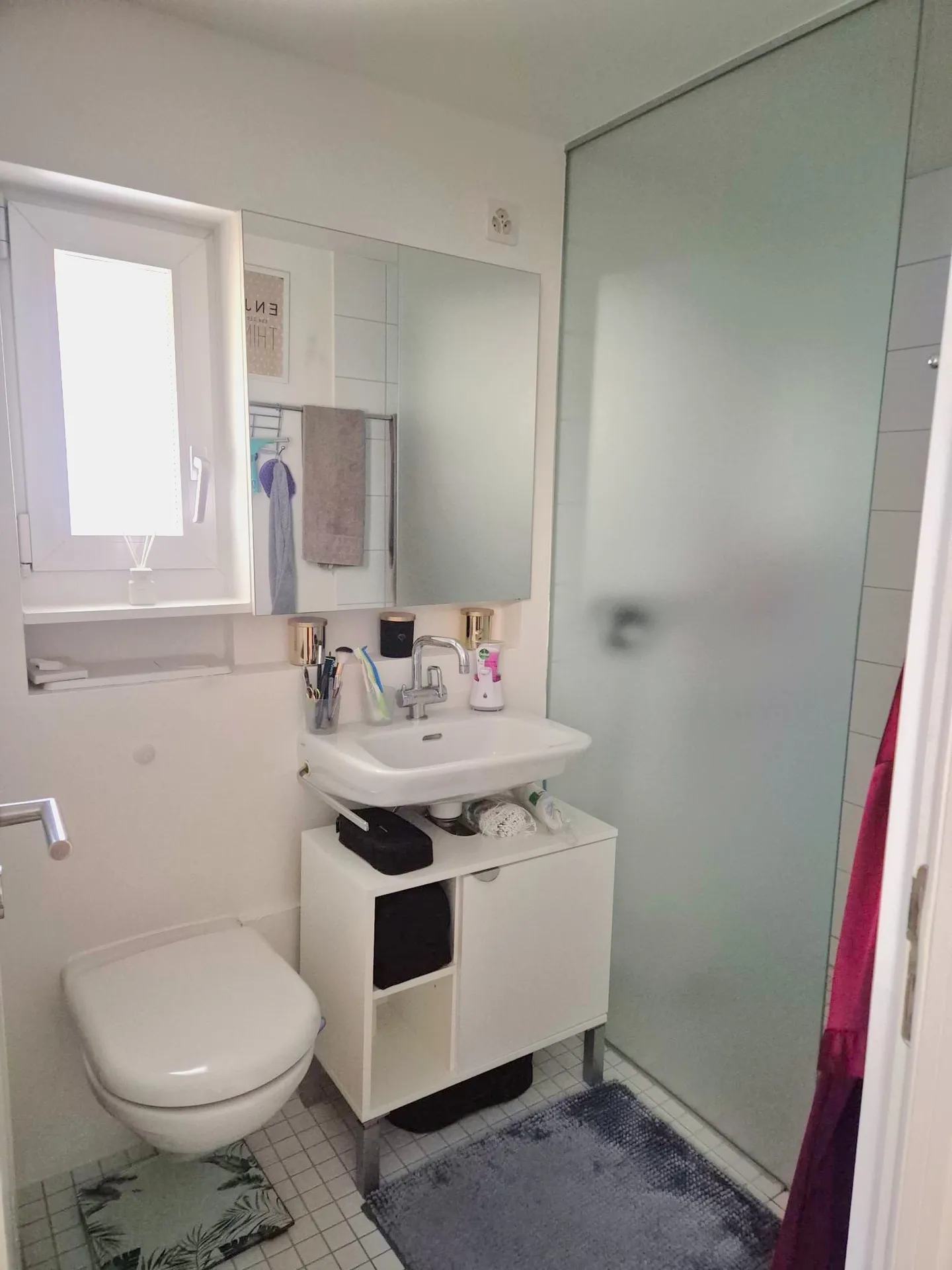 **TEMPORAIRE** Appartement unique au rez-de-chaussée à Teufen - Photo 10 sur 10