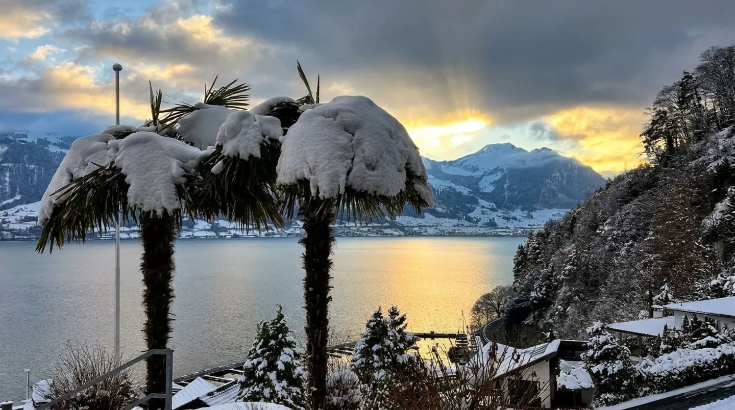 7.5-Room Chalet with Panorama & Terrace for Sale in Gersau - Photo 12 of 13