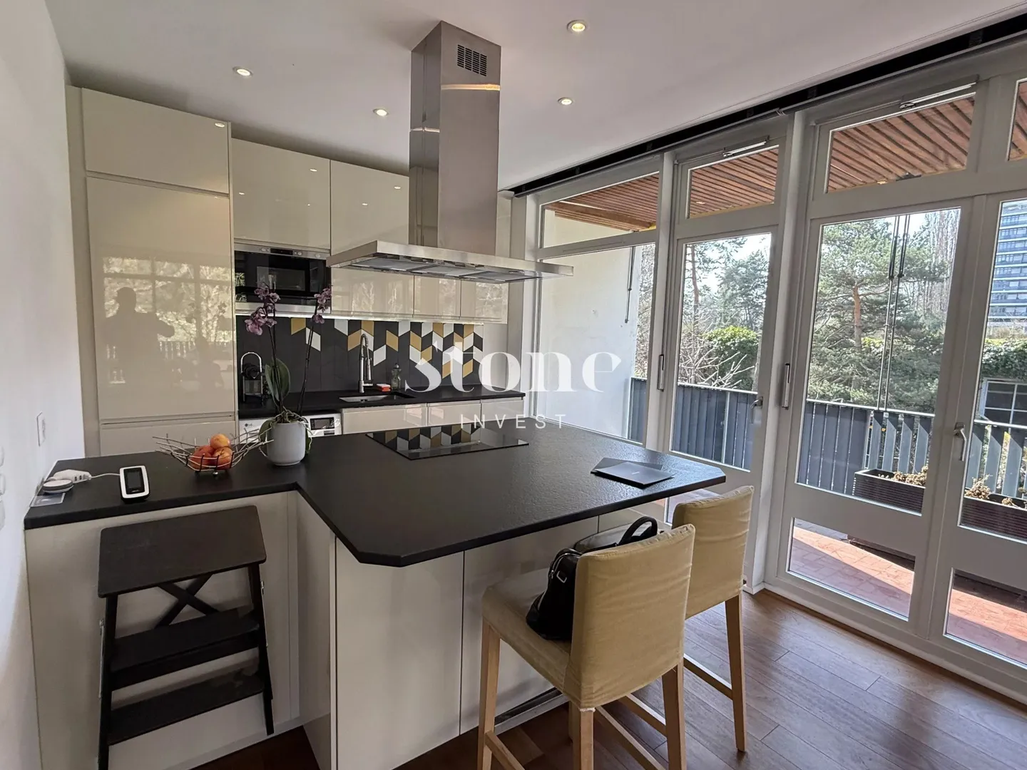 Magnifique appartement lumineux meublé récemment rénové de 58 m2 et 24 m2 de terrasse avec vue dégagée sur le parc - Photo 5 of 13