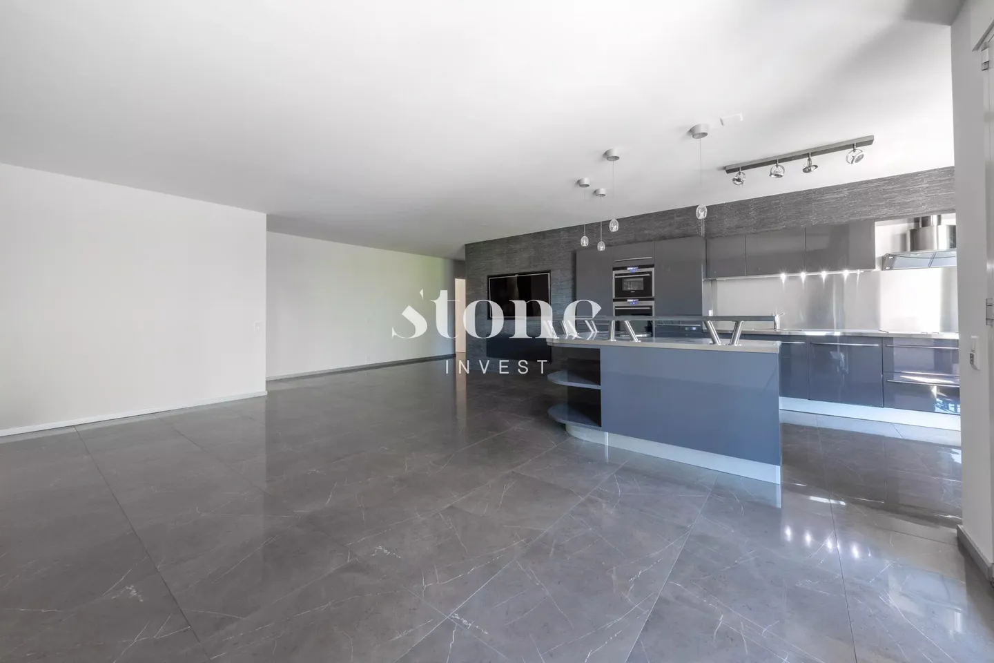 Magnifico appartamento di 5 locali di 140m2 a Carouge - Foto 3 di 12