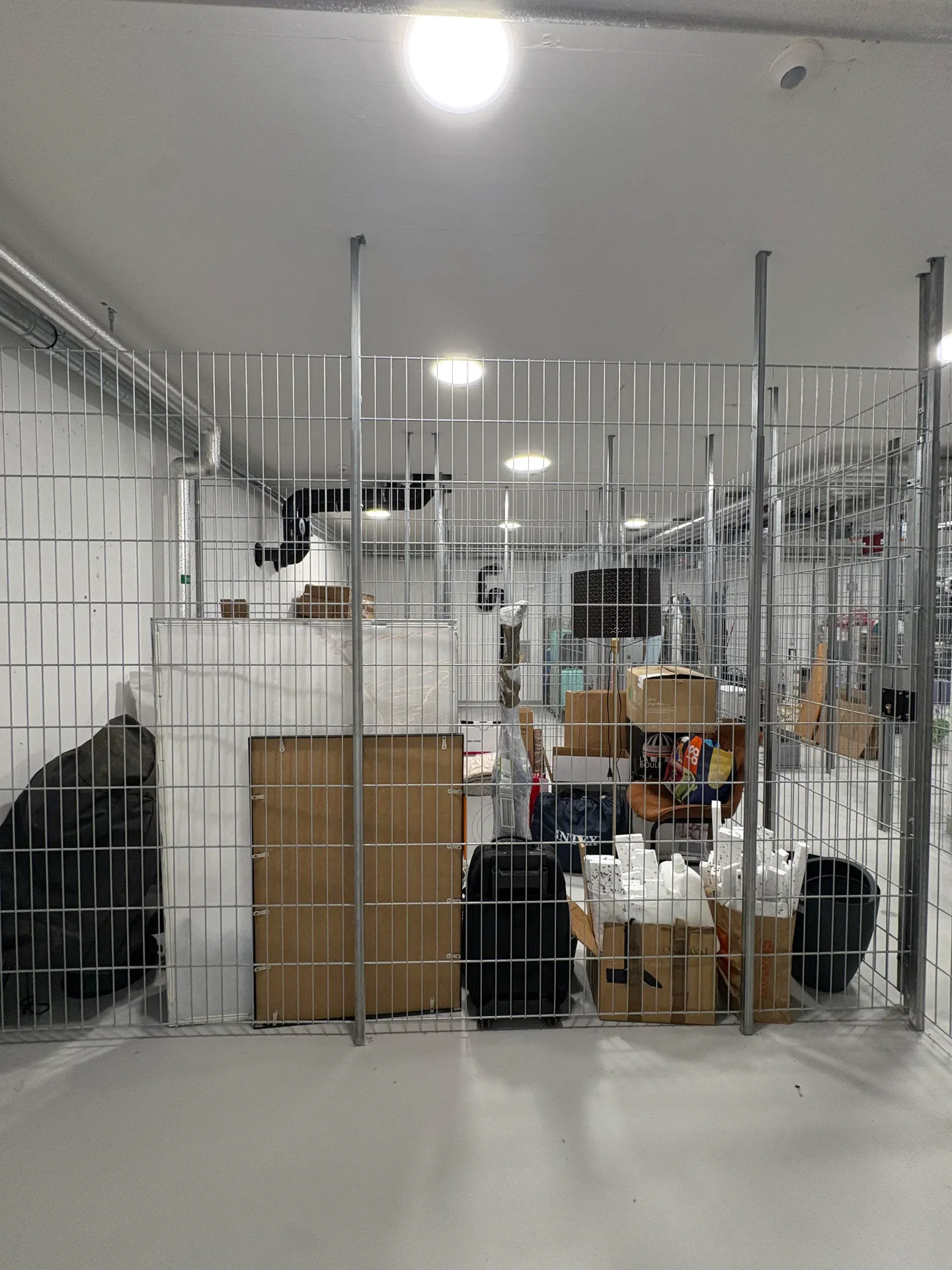 6.4m2 Kellerabteil Zürich - Stoffelstrasse 15 - Foto 10 von 10