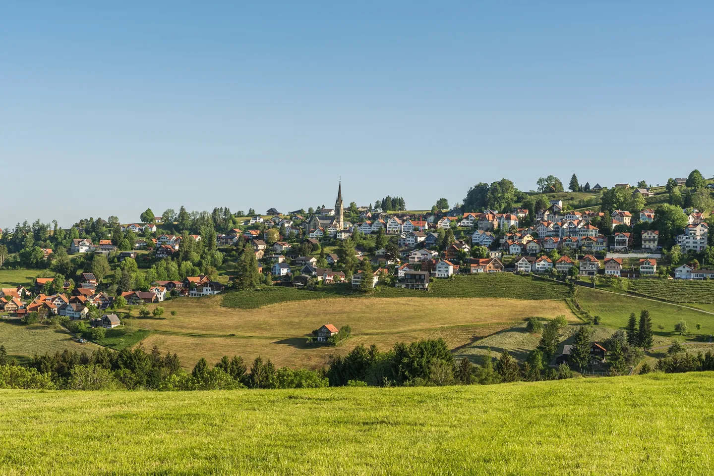 Herisau