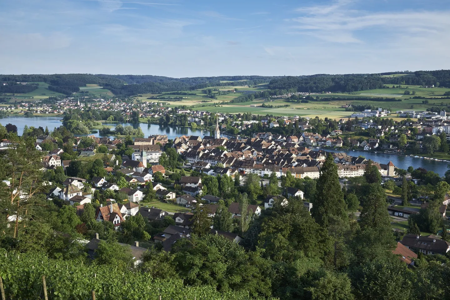 Neunkirch (8213)