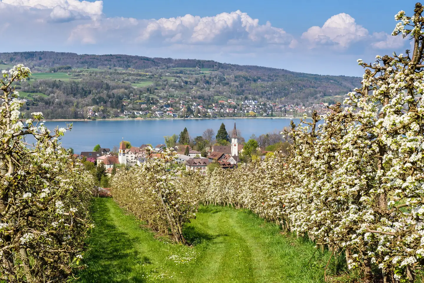 geneva