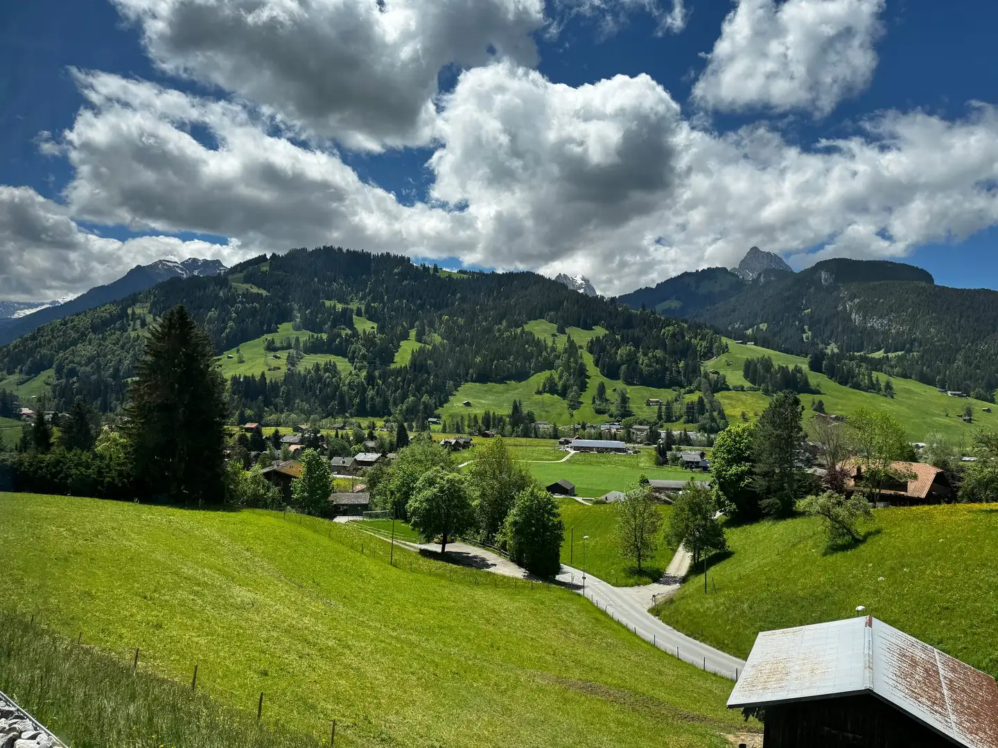 Saanenmöser (3777)