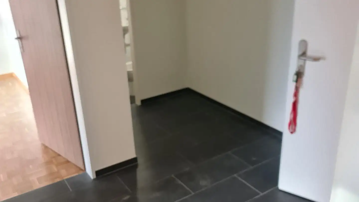 Wohnung mieten - Muttenzerstrasse 63, 4133 Pratteln - Foto 2