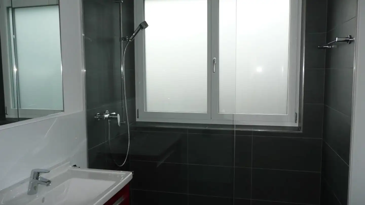 Attique à louer - Distelistrasse 5, 9014 St. Gallen - Photo 4