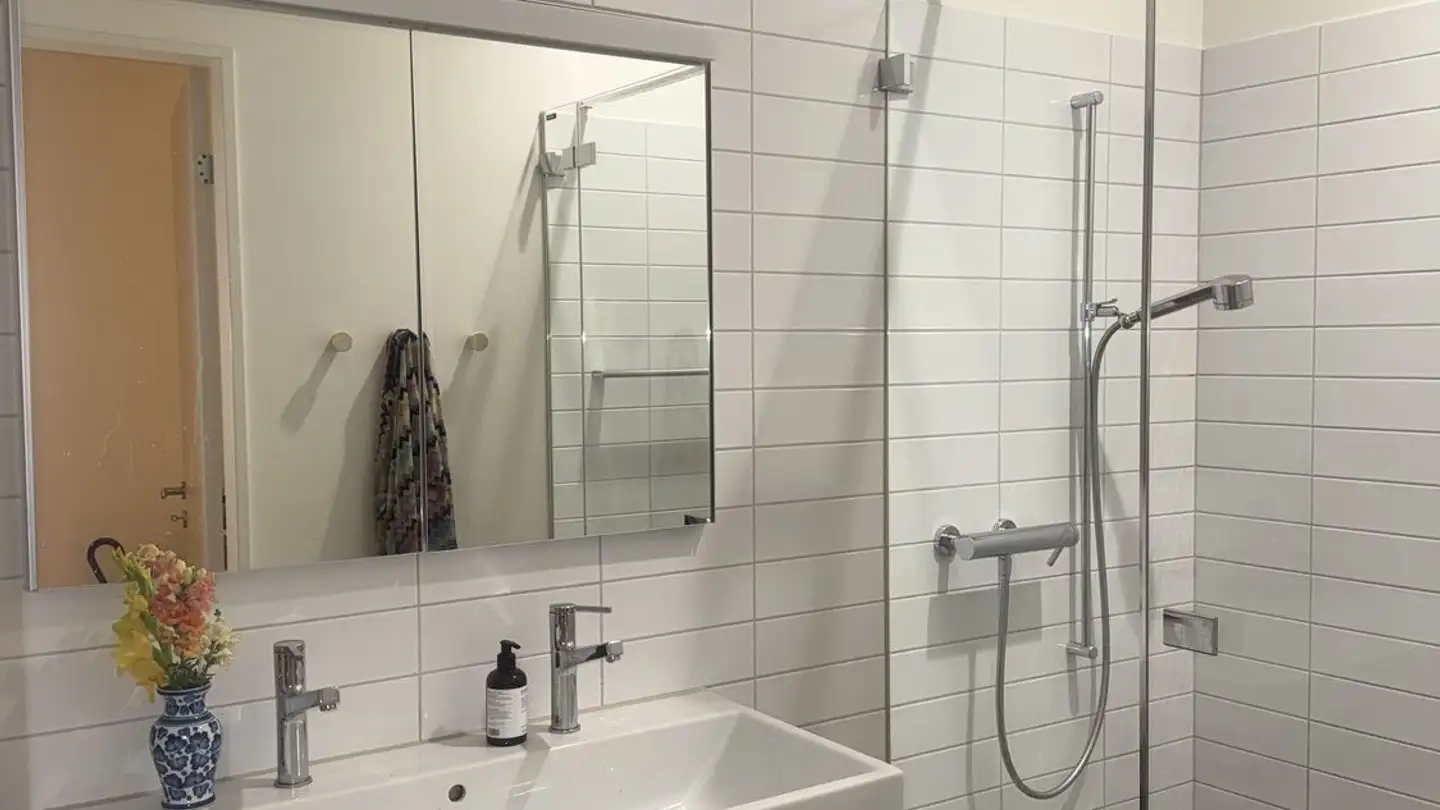 Appartamento in affitto - Steinenberg 23, 4051 Basel - Foto 4