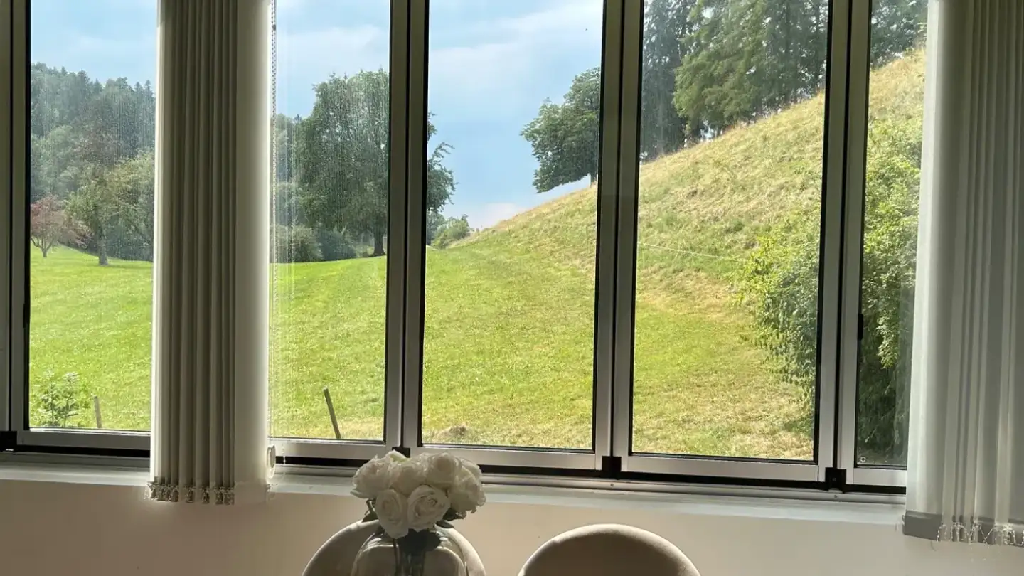 Appartement à louer - 9016 St. Gallen - Photo 2