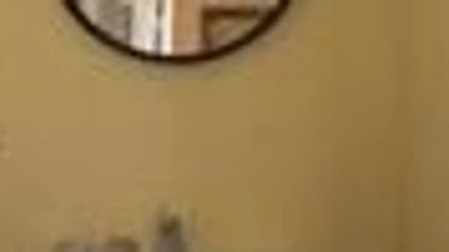 Casa singola in affitto - Rötistrasse 2, 4532 Feldbrunnen - Photo 3