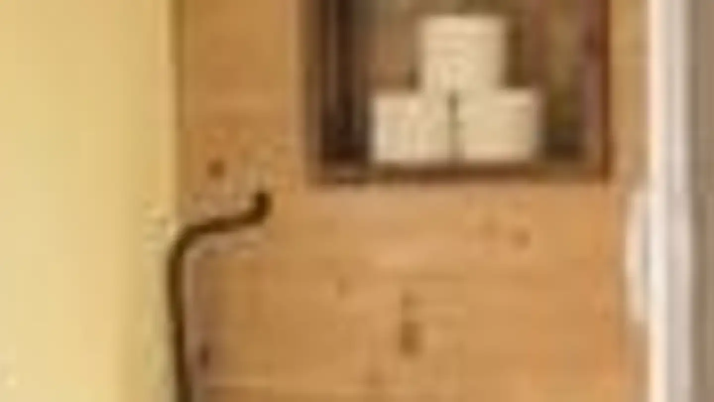 Casa singola in affitto - Rötistrasse 2, 4532 Feldbrunnen - Photo 4