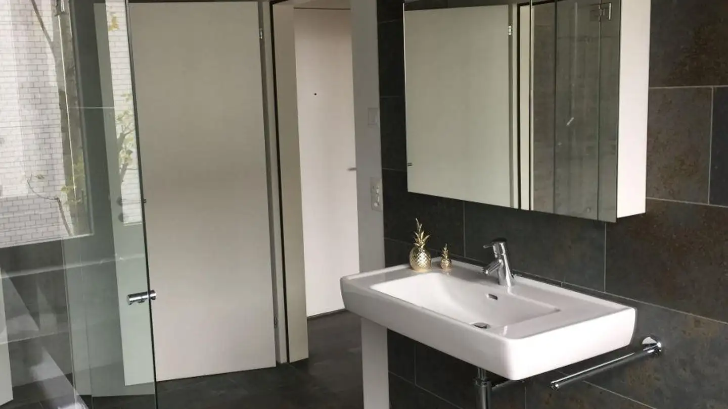 Appartamento in affitto - Hauptstrasse 15b, 9436 Balgach