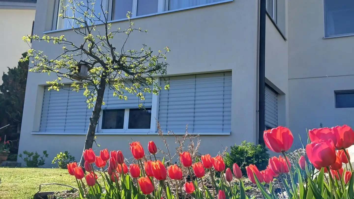 Appartement à louer - 6030 Ebikon - Photo 2