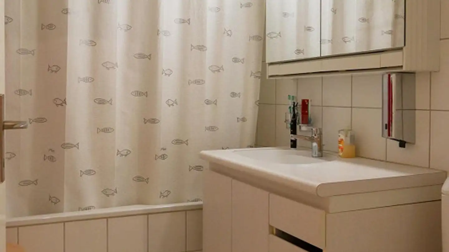 Appartamento in affitto - Spittelstrasse 9, 8910 Affoltern am Albis - Foto 3