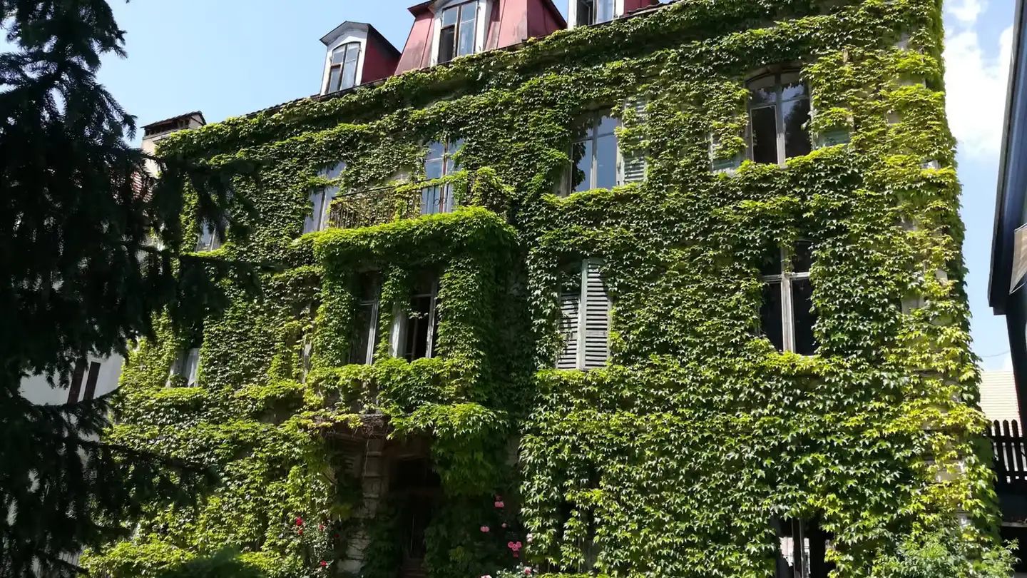 Appartement à louer - La Cibourg, 2333 La Cibourg