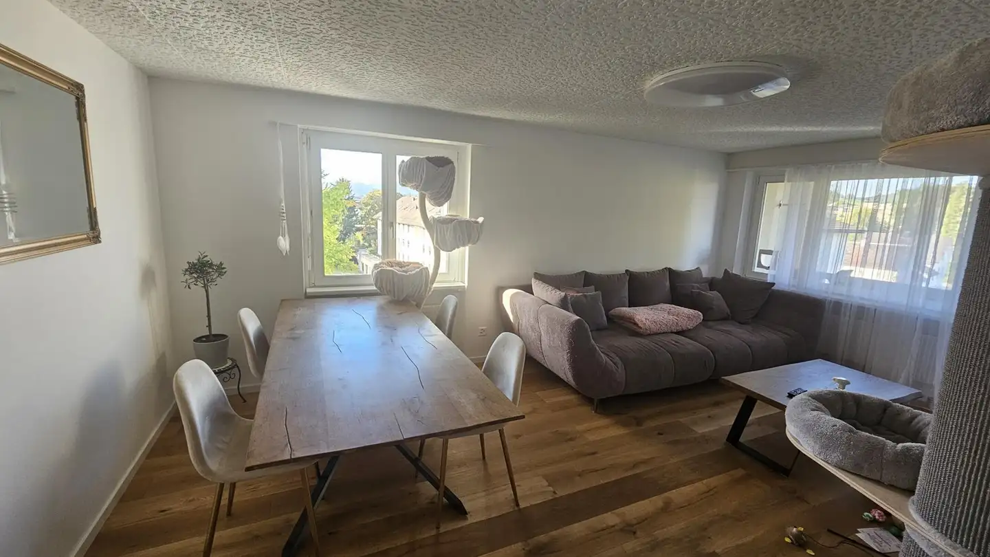 Appartamento in affitto - Eschlikonerstrasse 21, 9542 Münchwilen TG - Foto 2