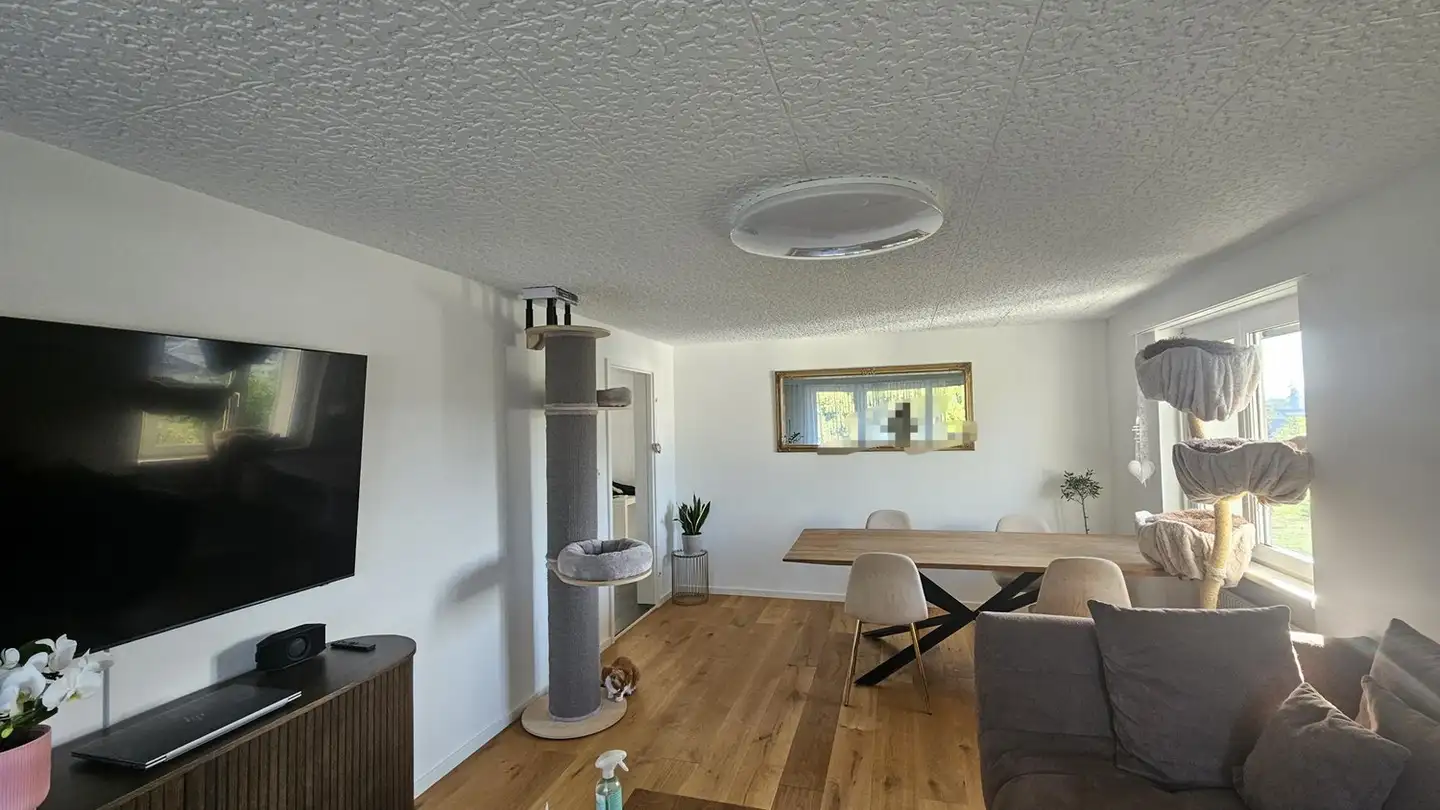 Appartamento in affitto - Eschlikonerstrasse 21, 9542 Münchwilen TG - Foto 3