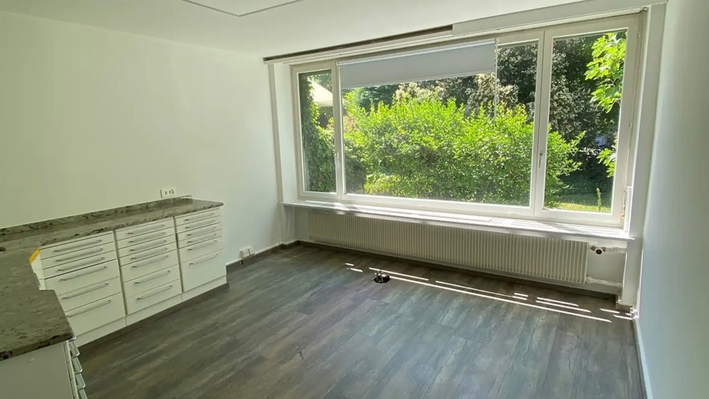 Single house for rent - Dörflistrasse 40, 8050 Zürich