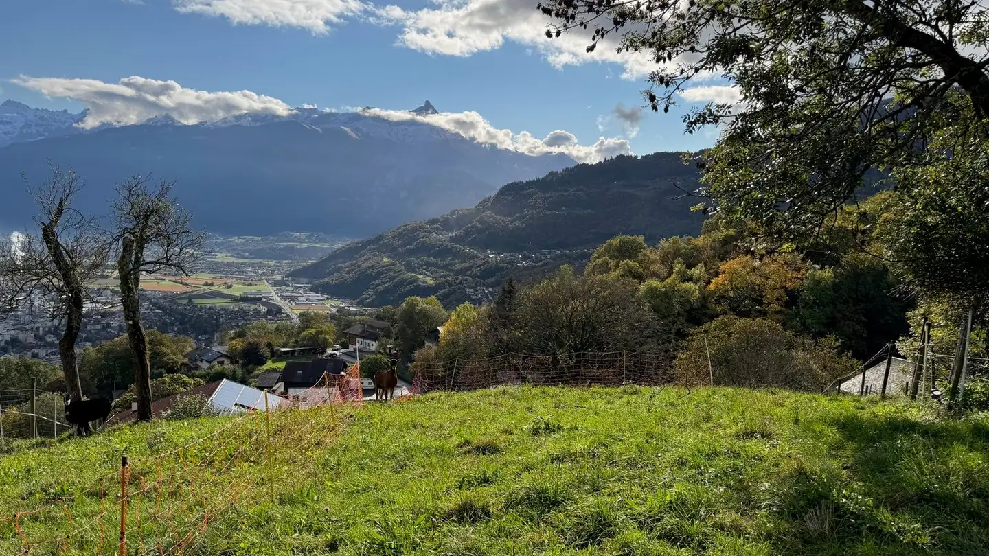 Terreno edificabile in vendita - 1868 Collombey - Photo 2