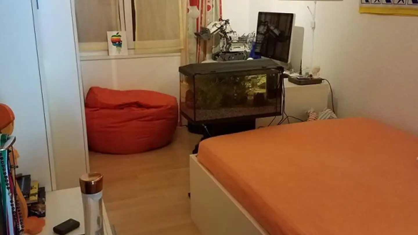Wohnung mieten - 9472 Grabs
