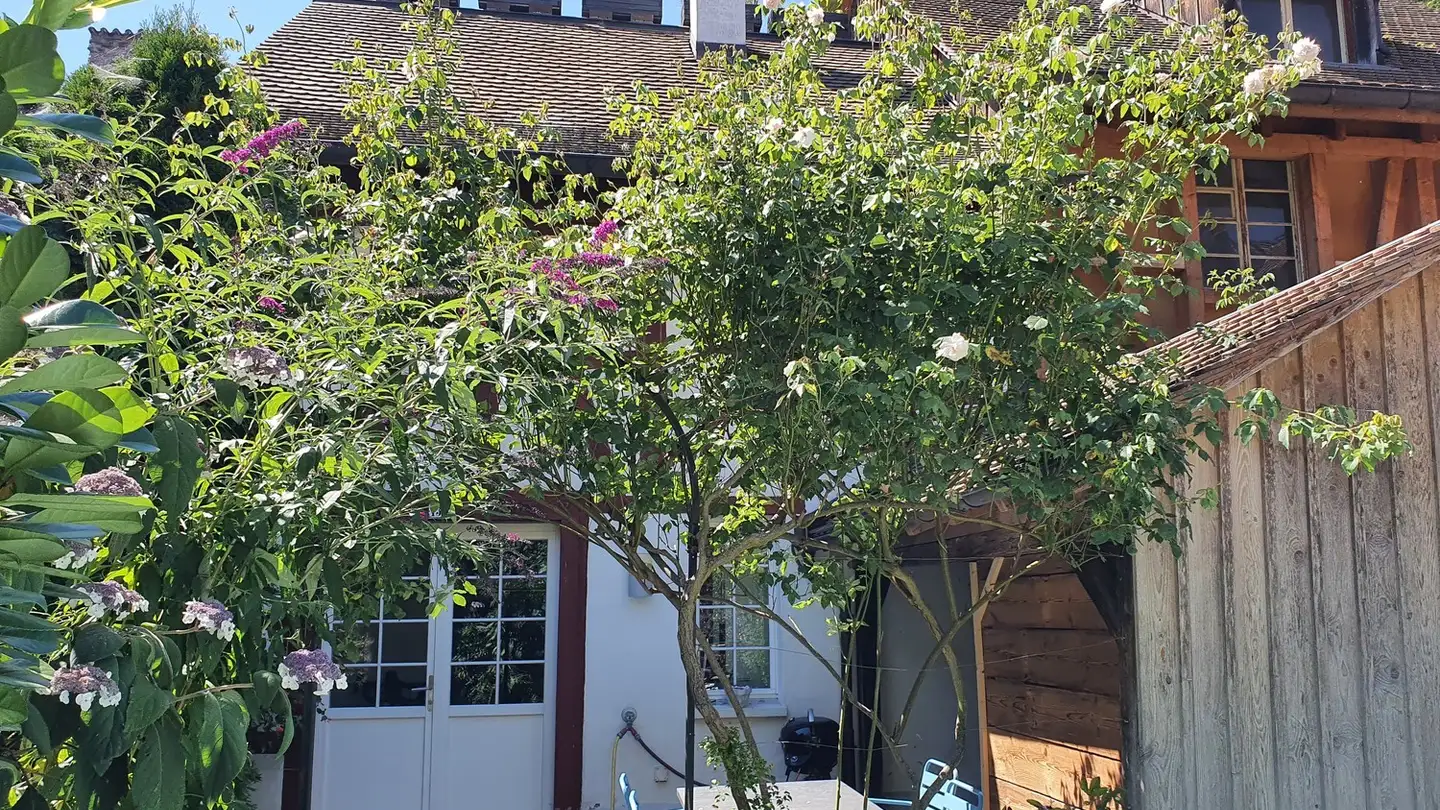 Appartement à louer - Obertor 16, 8253 Diessenhofen - Photo 2