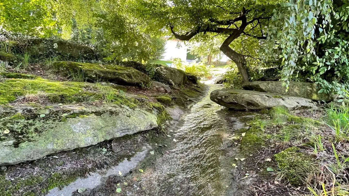 Appartamento in affitto - Seehaldenstrasse 18, 9404 Rorschacherberg - Photo 3