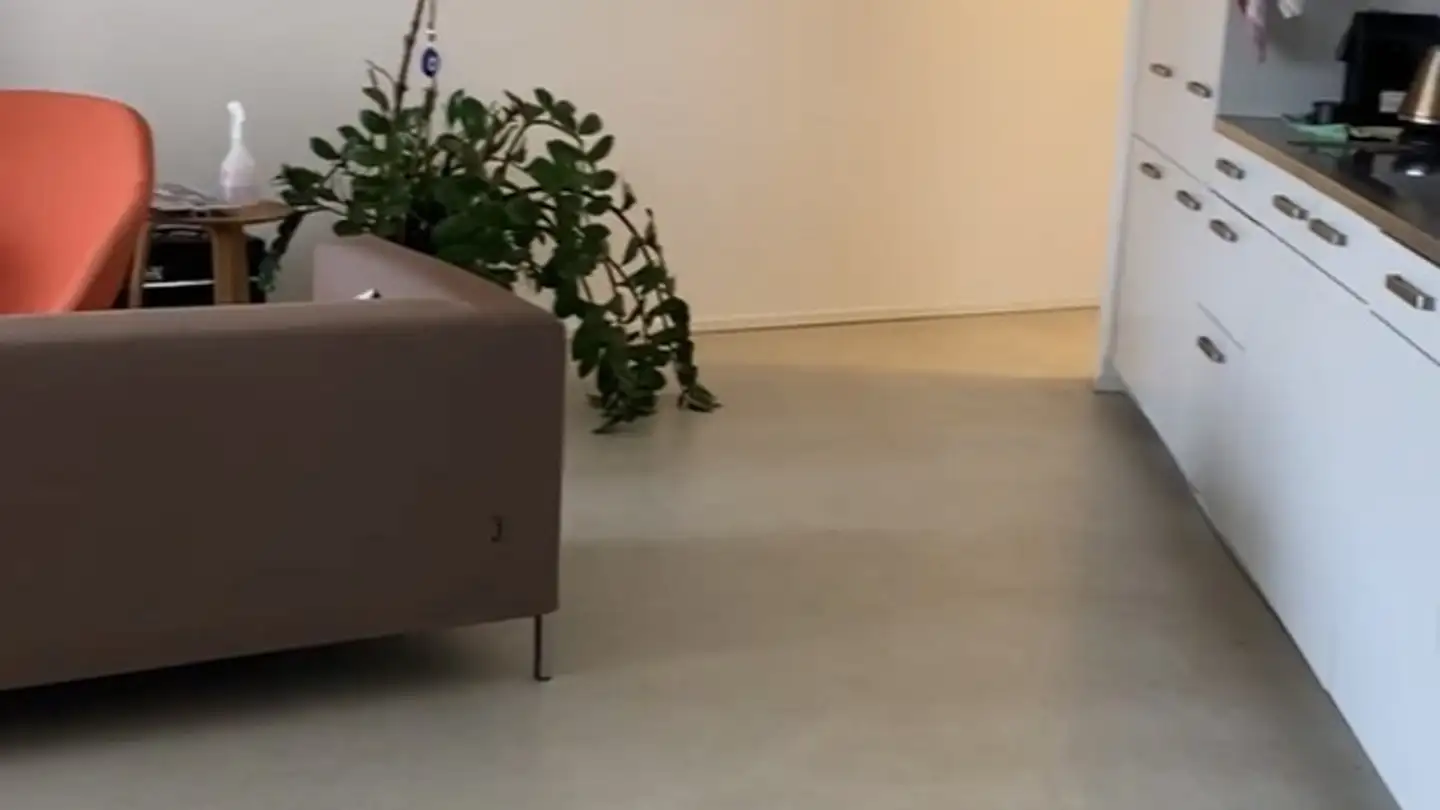 Zimmer mieten - Paul-Feyerabend-Hof 1, 8049 Zürich - Foto 3