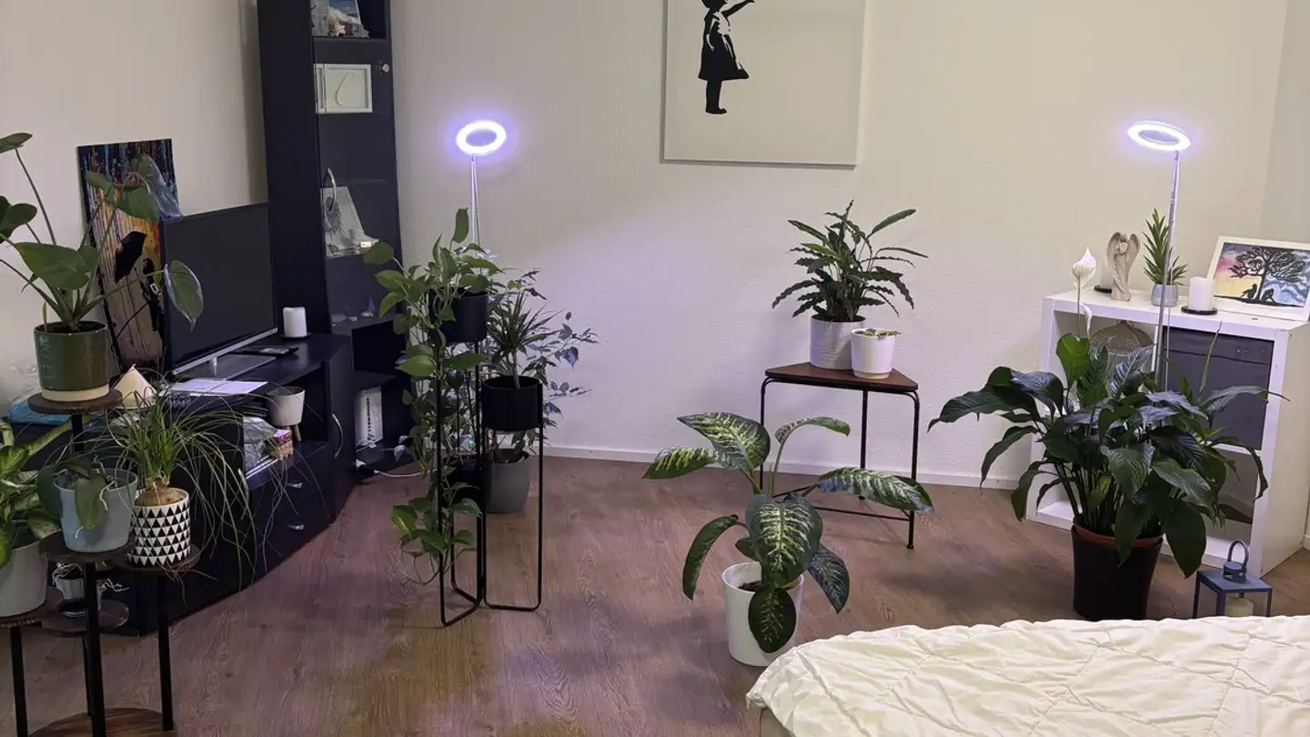 Appartement à louer - Auenrainstrasse 18, 8406 Winterthur - Photo 3