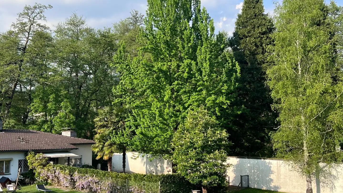 Maison individuelle à louer - Piana, 6944 Cureglia