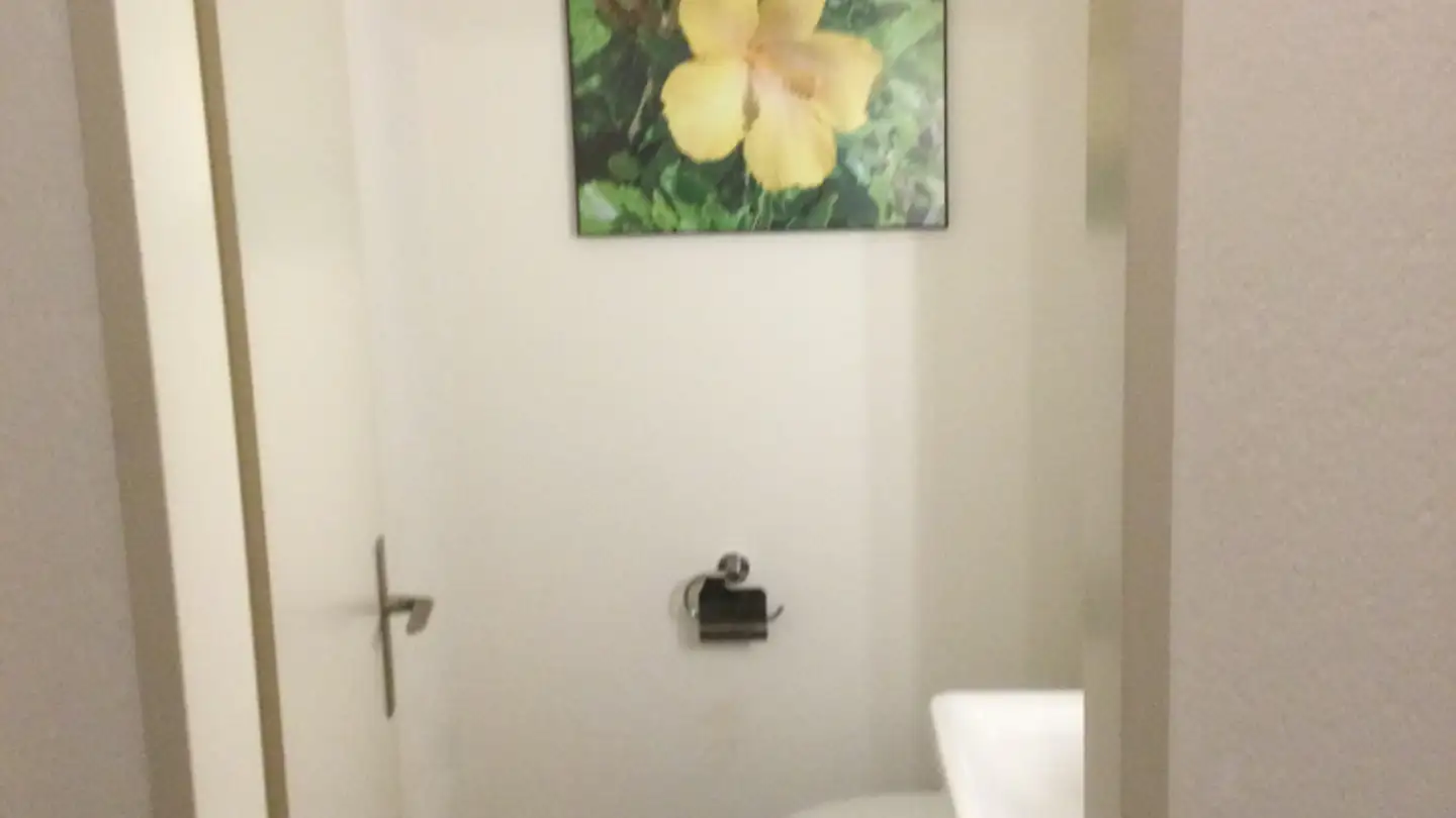 Appartamento in affitto - Krummibuckweg 2, 8157 Dielsdorf - Foto 4