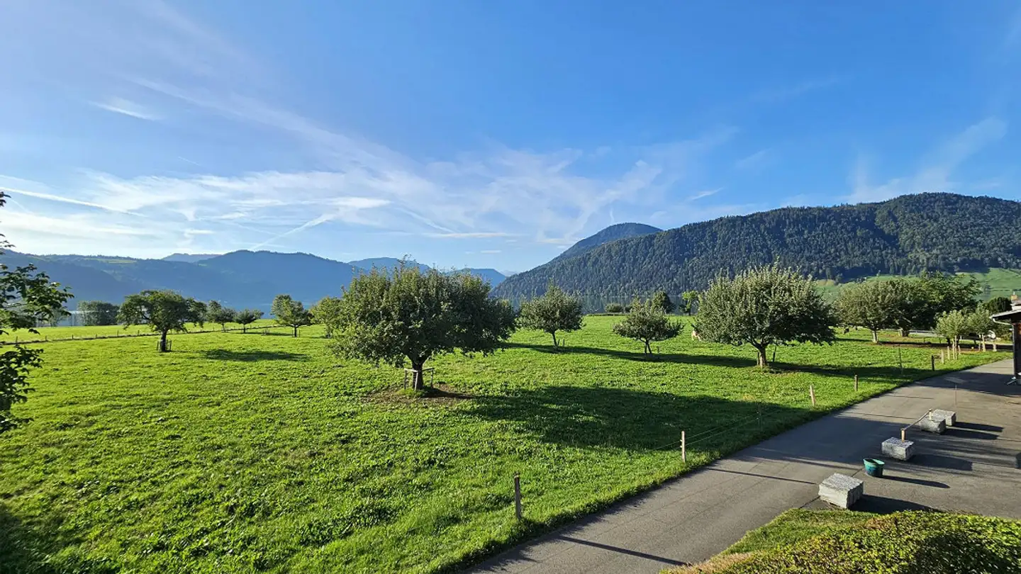 Wohnung mieten - Franzenmattweg 6, 6315 Oberägeri