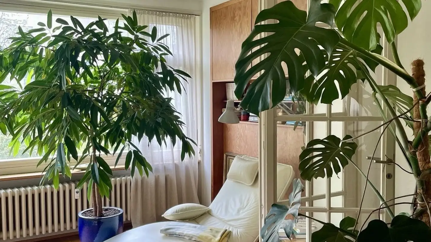 Wohnung mieten - 4051 Basel